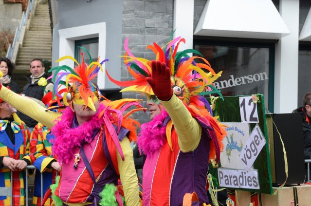 umzug simmern_140301_vb_122